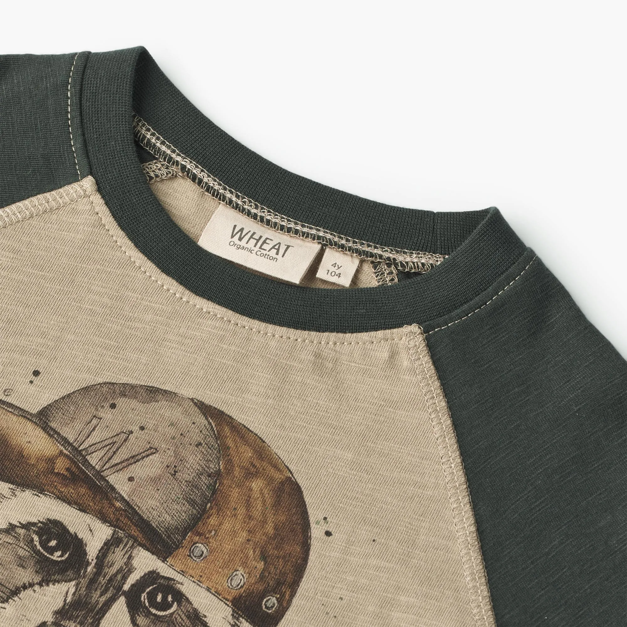 T-Shirt Raccoon - beige stone