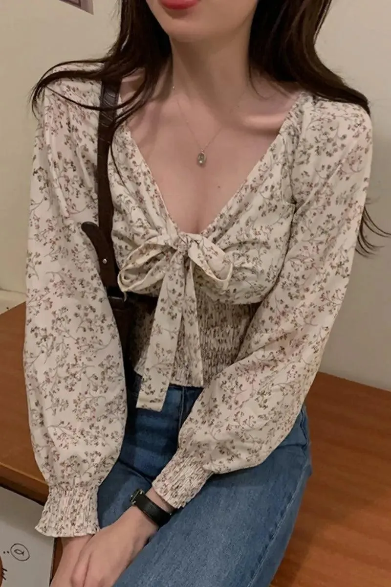 V Neck Chiffon Blouse